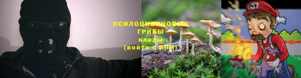 дживик Магадан