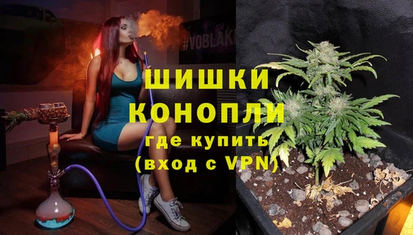 Альфа ПВП Мегион