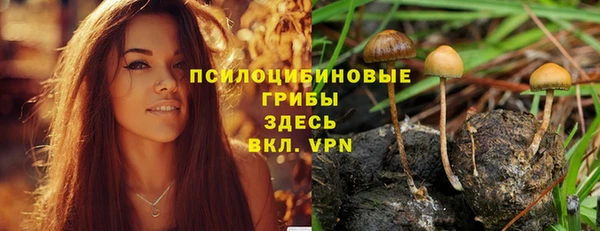 Альфа ПВП Мегион